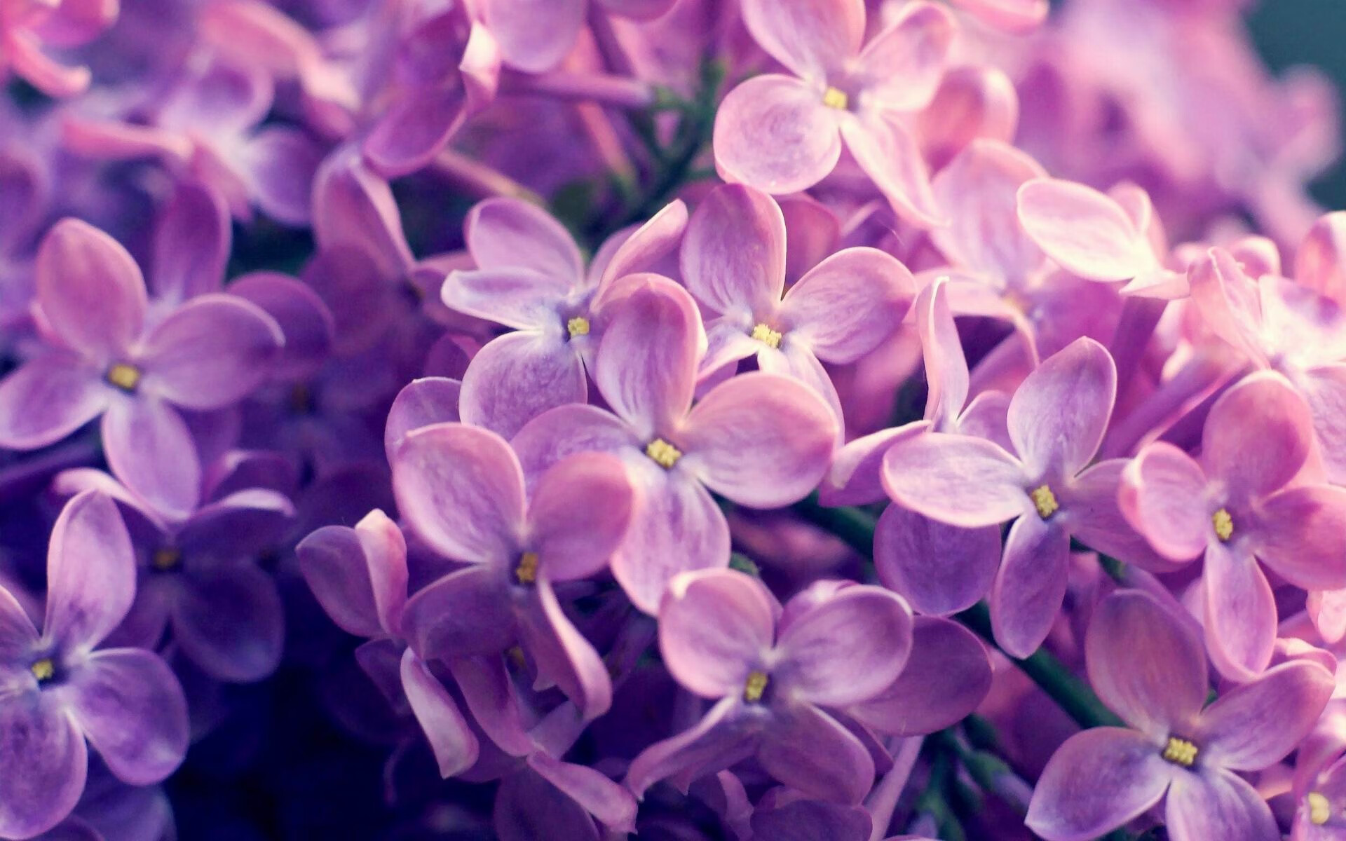 从绝境反扑到团队交响，年终总决赛的翻盘艺术与拉沃尔杯的集体诗篇