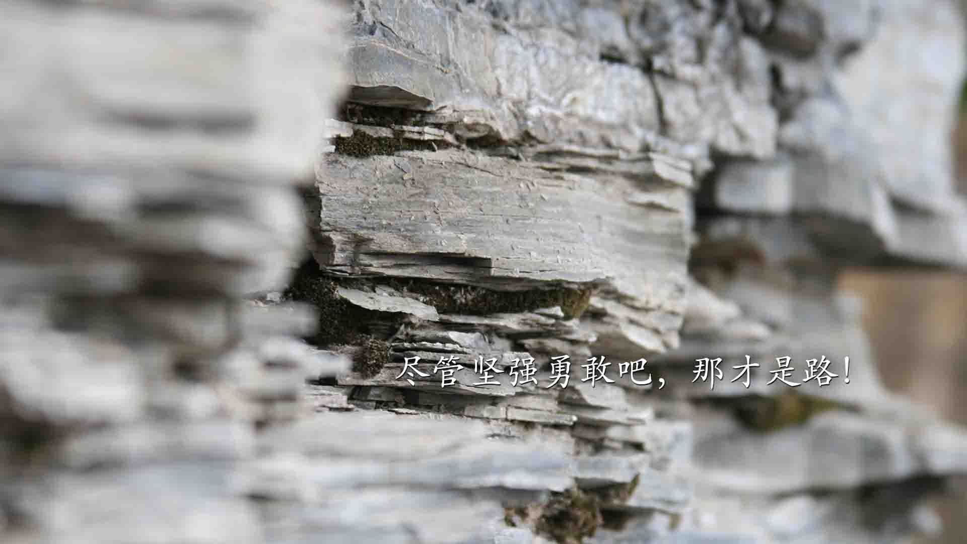 绝地反击！活塞背水一战擒篮网，西亚卡姆接管关键时刻定义比赛