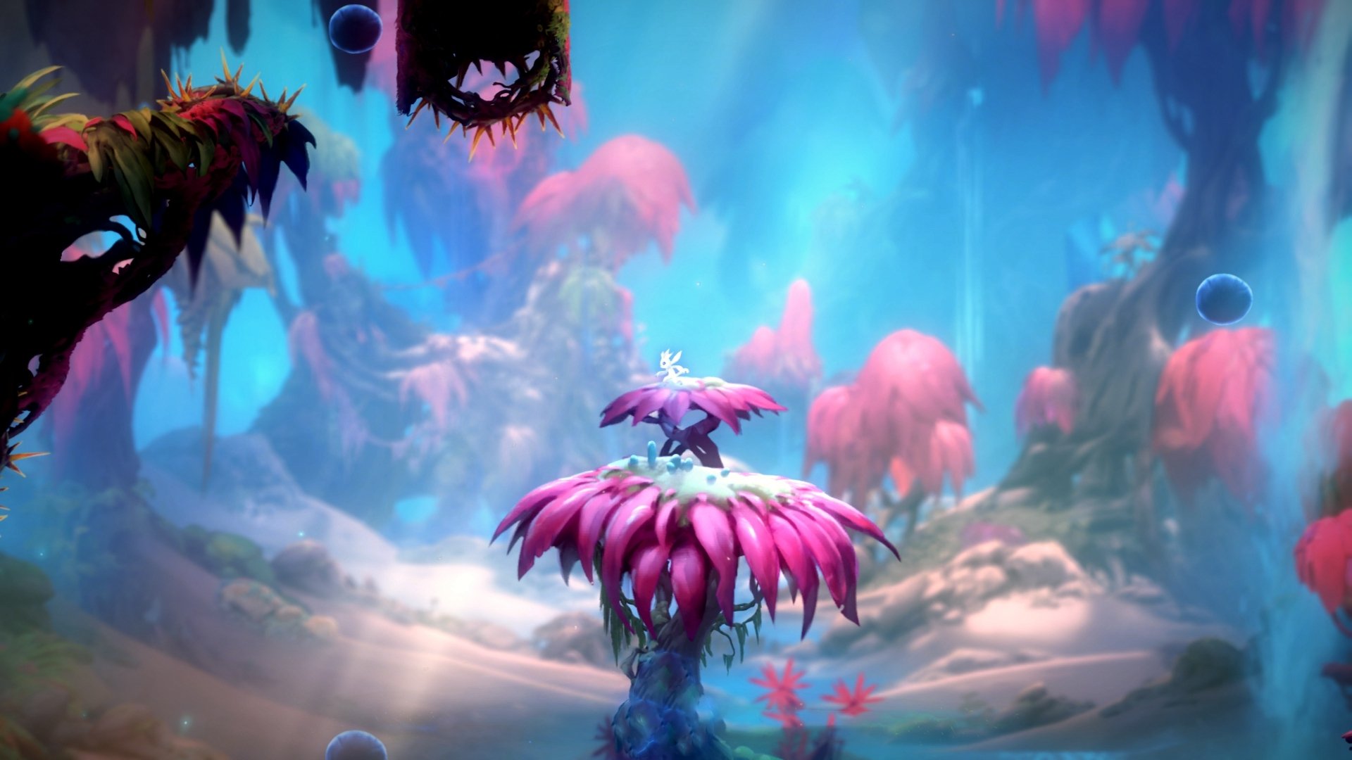 金玟哉决胜时刻闪耀，沙特速胜新西兰展现实力