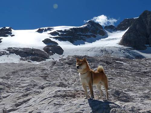从五棵松到甲骨文，收割式胜利与英雄时刻的唯一性独白