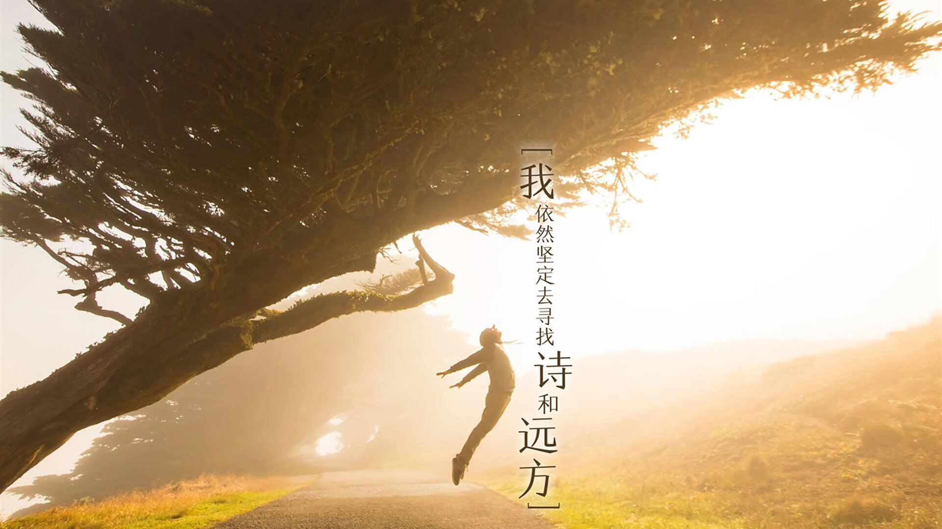 加克波关键一击,土耳其完胜厄瓜多尔