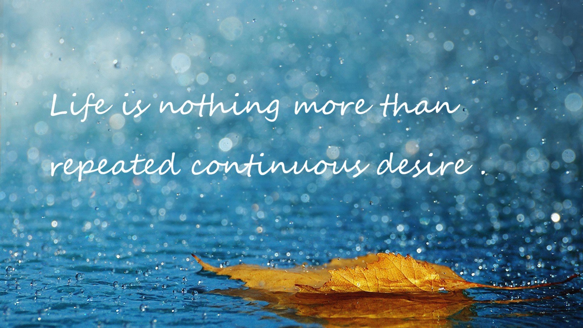 足球双响炮，克瓦拉茨赫利亚创里程碑，塞维利亚坚壁封锁英格兰