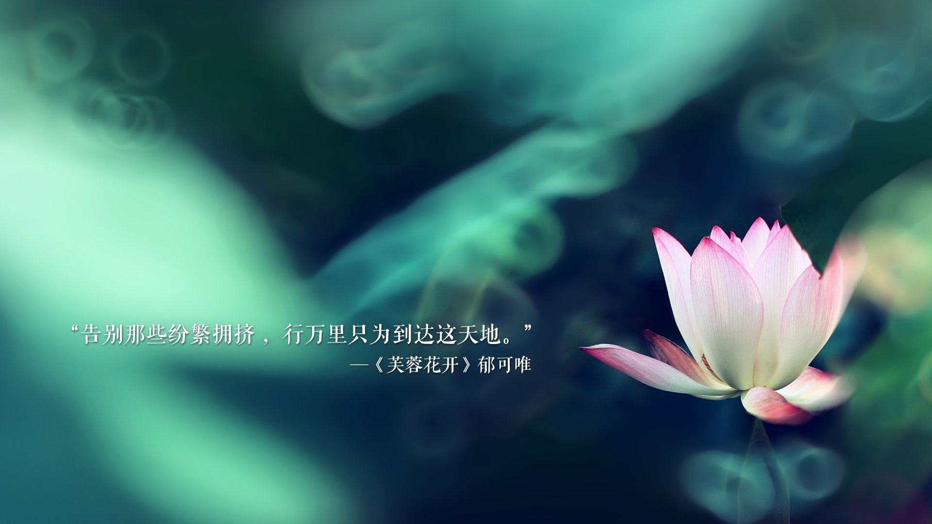铁血桑巴,2026世界杯H组焦点战,巴西险胜斯洛伐克,姆巴佩以强硬姿态定义王者之夜