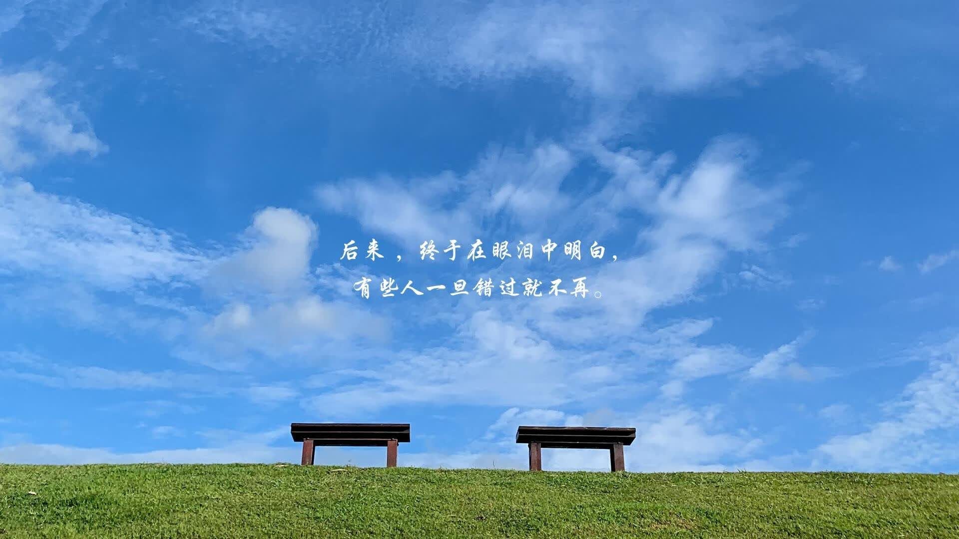 孤星闪耀鹿特丹，努涅斯一人擎天，厄瓜多尔以唯一破局荷兰